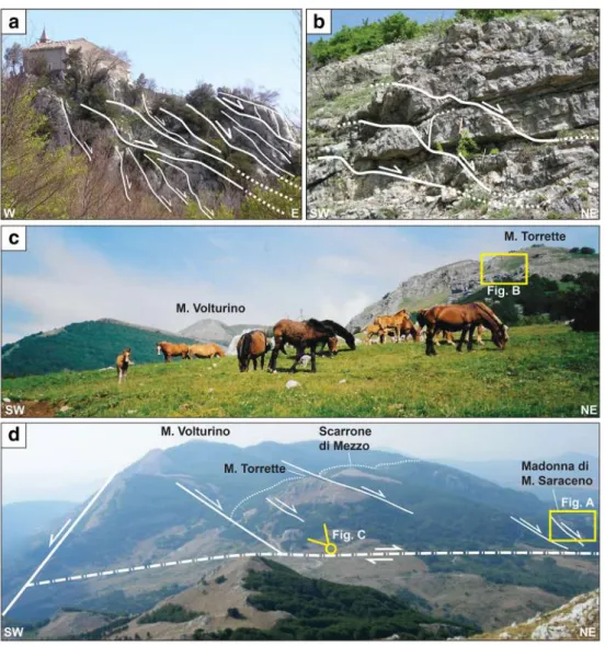 Fig. 7 East-dipping low-angle tectonic contacts (stops 7 and 8 — Madonna di Monte Saraceno and Monte Torrette)