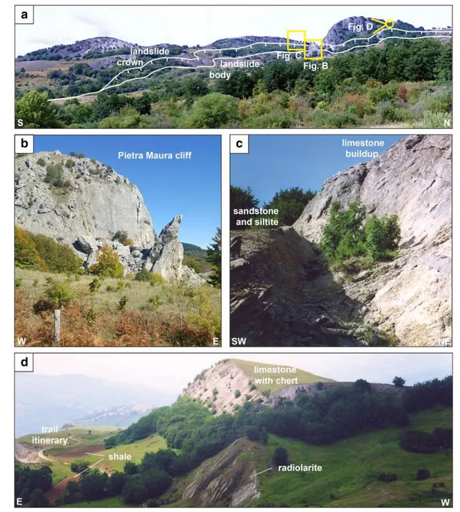 Fig. 5 The Marsico Nuovo thrust and the Pietra Maura landslide (stops 4a and 4b) as seen from Contrada Cognone