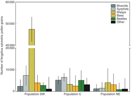 Fig. 3.  Average body pollen loads carried by members of a particular pollinator morphogroup
