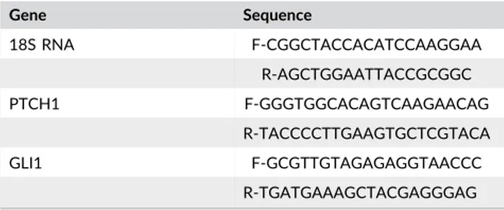 TABLE 1 Primer sequences used in qPCR