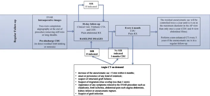 Figure 1. A proposed protocol of surveillance as currently performed in our center CDU: colour duplex ultrasonography; CTA: Computed tomography angiography; XR: plain abdominal radiography; SI: Secondary interventions.