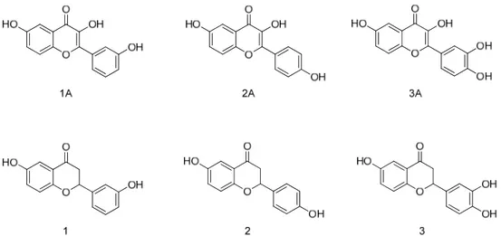 Figure 1. Chemical structures of the previously published flavonols [14] (1A–3A) and of the flavanone  analogues studied in the present work (1–3)