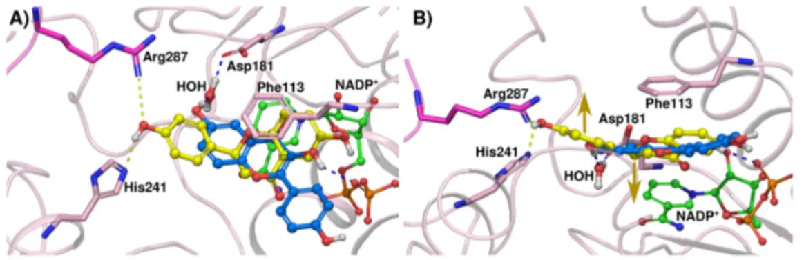 Figure 5. (A) Docking poses of compound 2 (ball-and-stick, yellow carbons) and 2A (blue carbons) in  LmPTR1 (pink cartoon with Arg287 from the neighboring subunit shown in magenta sticks; NADP +