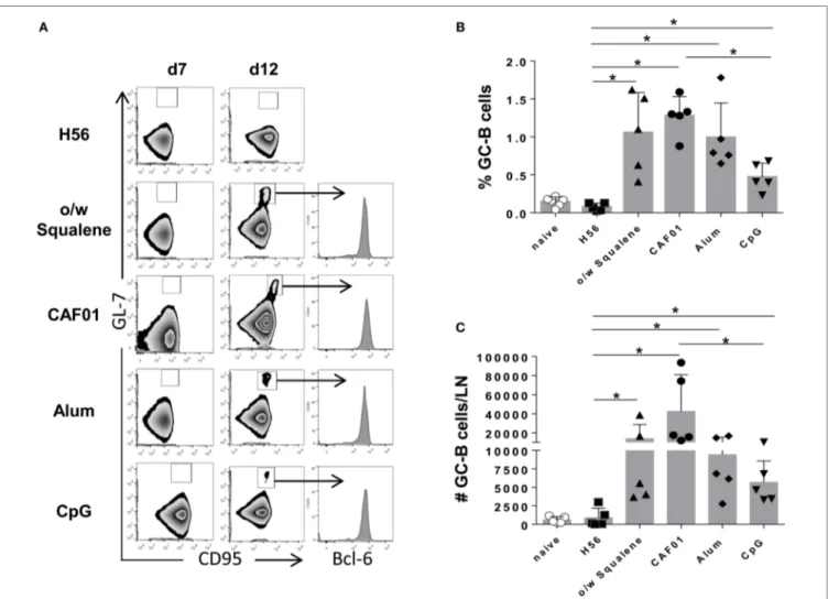 FigUre 7 | germinal center B cells induction. Mice were subcutaneously immunized with H56 alone (H56) or combined with different adjuvants (o/w  squalene, CAF01, alum, and CpG), and draining lymph nodes were collected 7 and 12 days after immunization