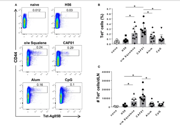 FigUre 1 | induction of ag85B-specific cD4 +  T cells. C57BL/6 mice were subcutaneously immunized with H56 alone (H56) or combined with different  adjuvants (o/w squalene, CAF01, alum, and CpG), and lymph nodes draining the site of immunization (dLN) were 