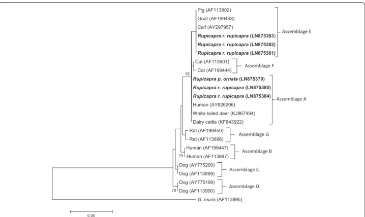Fig. 1 Neighbor-Joining tree of the SSU-rDNA Giardia sequences. Six sequences from the present study (in bold) and 16 reference sequences representing assemblages A-G were included in the analysis for comparative purposes
