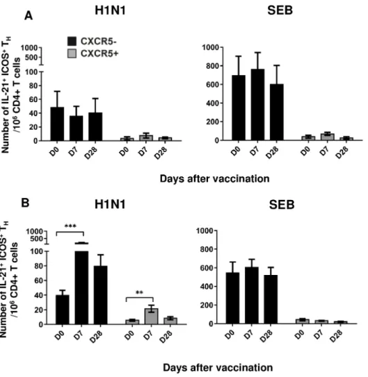 Fig 5. H1N1-specific CD4 + IL-21 + ICOS + TH cells subsets expressing or not CXCR5 expand after influenza vaccination
