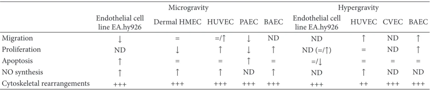 Table 3: Summary of the principal parameters influenced by simulated microgravity and hypergravity in different types of ECs.