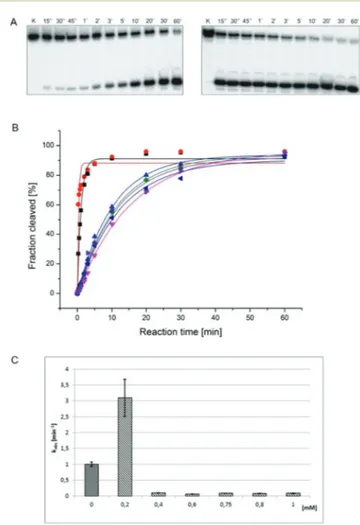 Fig. 10 A comparison of the complex in ﬂuence on plasmid DNA in the absence and presence of 25 µM H 2 O 2 