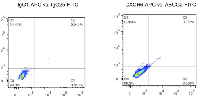 Figure 9. Flow cytometry detection of CXCR6+/ABCG2+ subpopulations from human melanoma biopsy