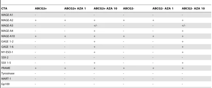 Table 6. RT-PCR analysis of Melanoma Associated Antigens (MAA) expressed by melanoma cell lines IGR37 and IGR39 sorted for its expression of CXCR6 and double positive ABCG2/CXCR6 IGR37 cells and in tumor xenograft engrafted with CXCR6+ IGR37 cells.