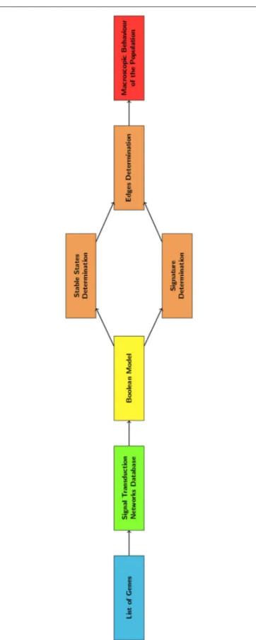 FIGURE 2 | Flowchart describing the main steps of the computational method here described.