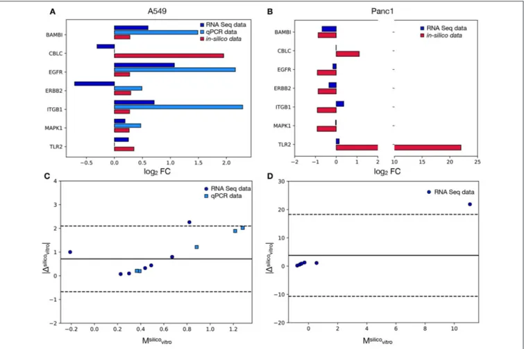 FIGURE 4 | Comparison between the model’s results and the in-vitro data. In (A) the log 2 FC recorded in A549 cells for each signature marker is reported both for the in-vitro and the in-silico analyses