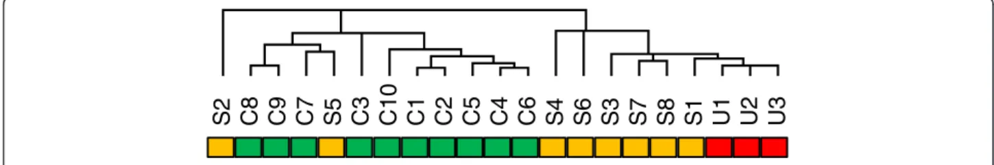 Figure 1 Unsupervised clustering of samples based on full microarray probe set. The sample dendrogram resulting from hierarchical clustering using all 22 K probes, shows clustering of samples by phenotype: control (C, green bar), SSc-ILD (S, orange bar), I