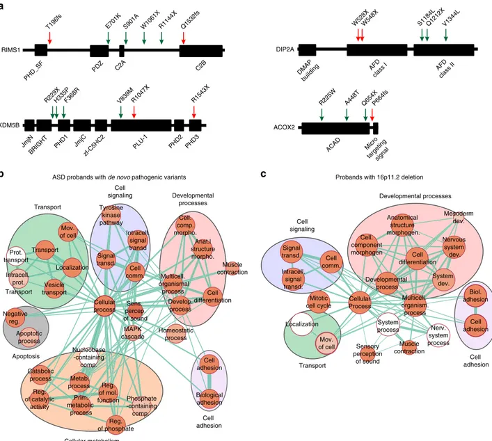 Fig. S14B) compared with probands with a de novo deletion.