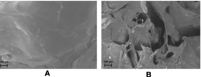 Figure 7. FE-SEM images of drug-loaded CMC–NPs hydrogel  without application of  magnetic field (A) and after the application of AMF (B) [88]