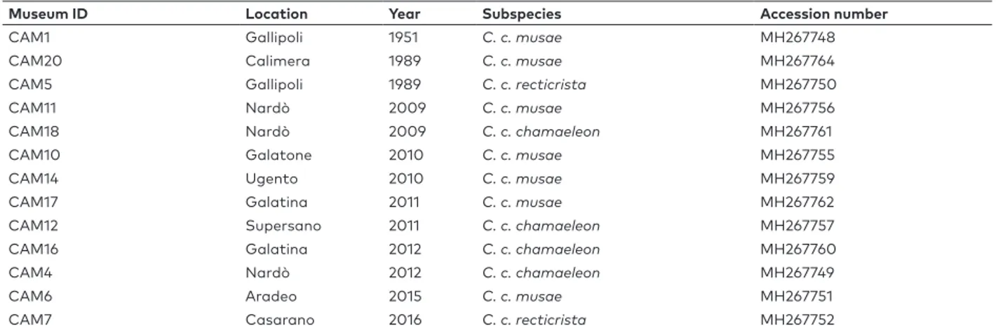 Table S1. Samples of common chameleon analysed in our work. ID Museum number, location and year of each sample, as well as  accession numbers on GenBank are reported.