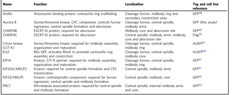 Table 1 Baits used in the AP-MS experiments for the characterization of the midbody interactome