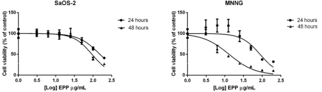 Figure 1. IC 50  of EPP after 24 and 48 h treatment on SaOS-2 and MNNG. IC 50  was calculated using 