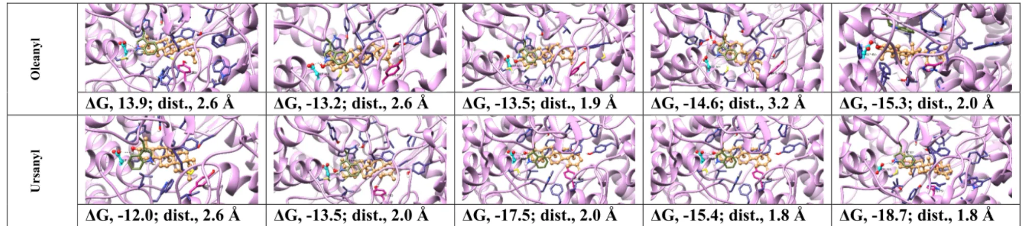Figure  8.  Poses,  ligand  to  protein  distances  and  affinities of  oxidosqualene  cyclases  (OSCs)  docked  with  the  intermediate  cations  from  fruit  models  and  human  x‐ray  structure. ΔG, Gibbs free‐energy of binding (kcal mol −1 ); dist, lig