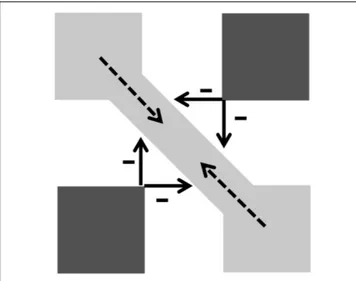 FIGURE 2 | From model of Grossberg and Mingolla (1985a,b) . Less contrasted gray-to-white edges “activate orientation receptive fields less than does each black square.” Arrows: inhibition of strongly activated vertical and horizontal tuned cells on nearby