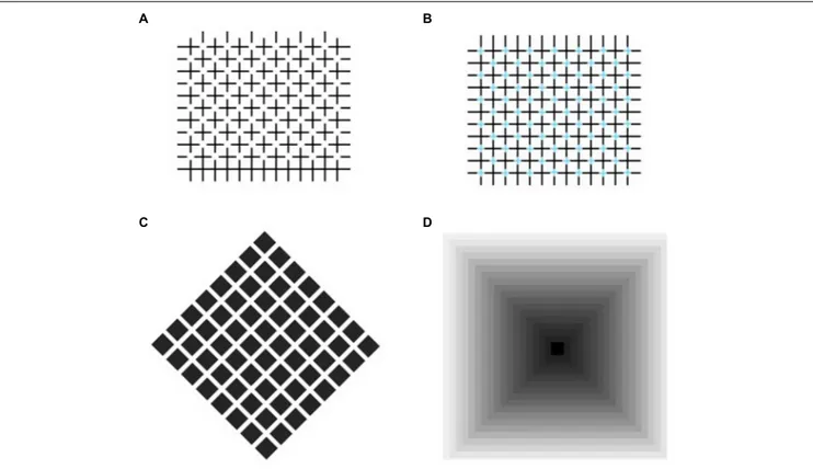 FIGURE 6 | Illusions with elements with different brightness levels. (A) Diagonal bands appear to connect illusory disks where perpendicular lines cross; (B) Intersections of lines are replaced by colored crosses, producing neon light diffusion; (C) Bright