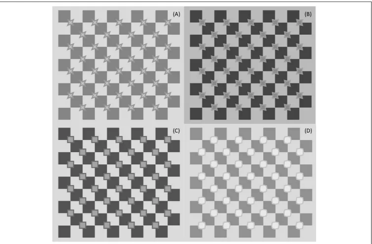 FIGURE 7 | Four types of experimental stimuli, one for each angle amplitude at corners