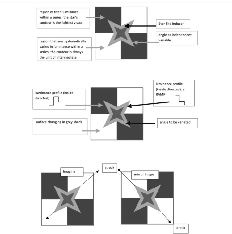 FIGURE 8 | Close-up of crossing regions in Figure 7. Local patterns enlarged to illustrate independent and dependent variables.