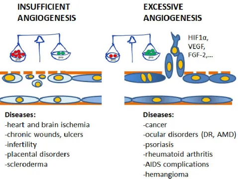 Figure 1. Contribution of insufficient and excessive angiogenesis to different pathological disorders