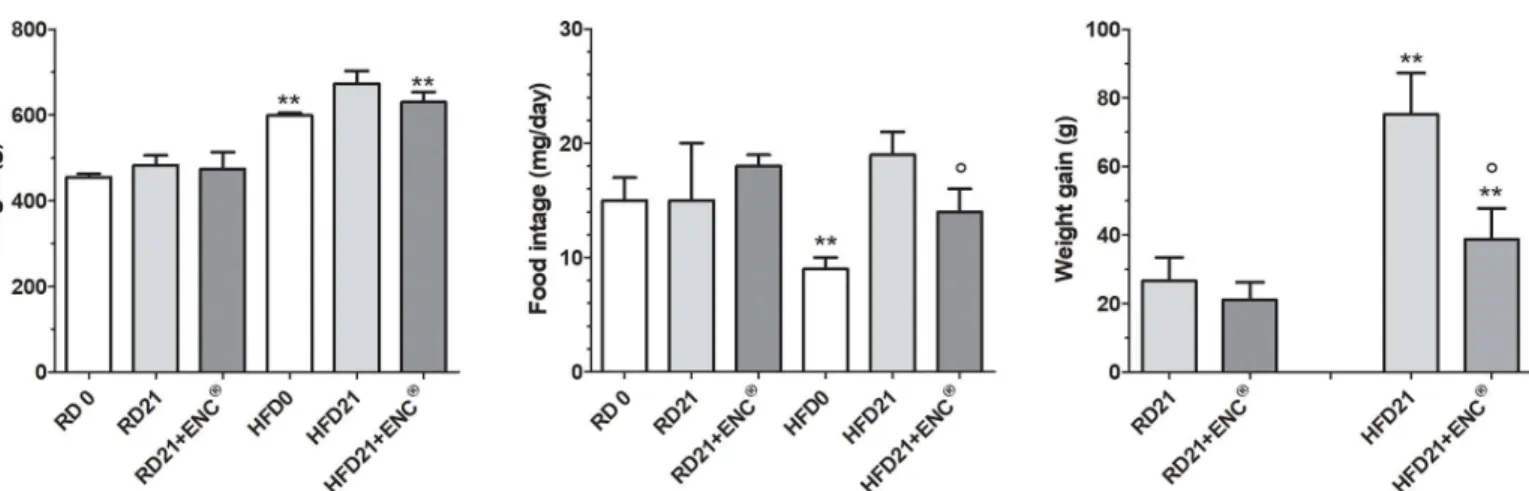 Fig 2. Body weight, food intake and weight gain of RD-rats, HFD-rats with or without ENC 1 (20 mg/kg/day) for 21 days