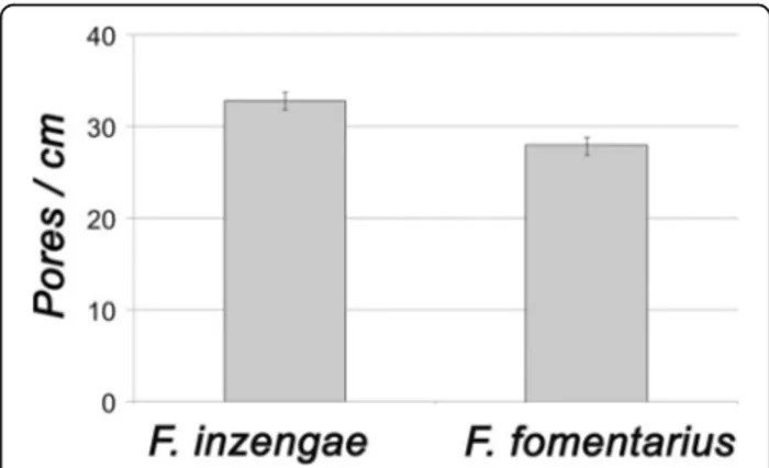 Fig. 2 Comparison of pore diameter (as pores / cm hymenophore surface) of Fomes inzengae and F