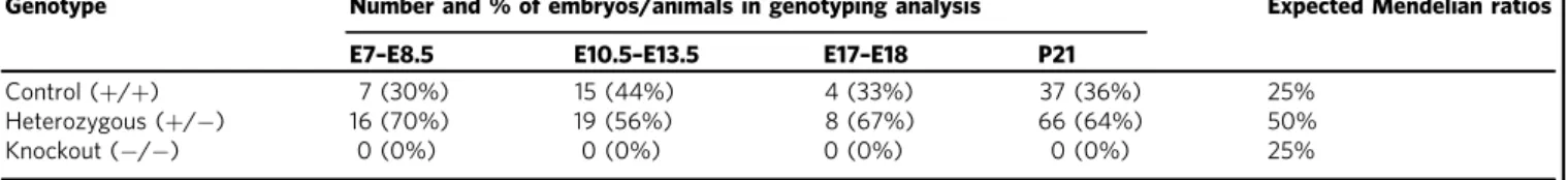 Table 1 Genotype analysis of global Obsl1-knockout mice