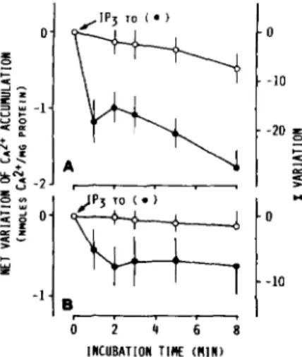 FIG.  6.  Inhibitory  effect of  IPS on  the  glucose-6-P-stimu-  lated MgATP-dependent Caz+ uptake by rough  ( A )  and smooth 