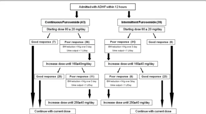 Figure 1 Algorithm of diuretic treatment during randomization and study period: in both arms escalation doses were decided upon based on diuretic response, doubling previous dose administration in a step by step protocol