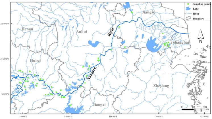 Figure 1. Locations of the 56 studied lakes along the Yangtze River, China.