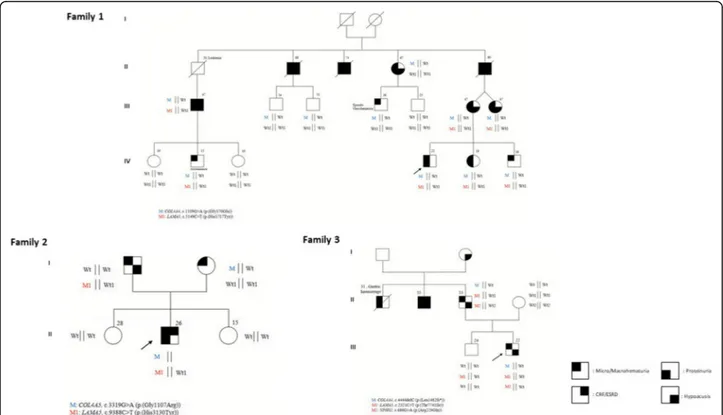 Fig. 1 Families pedigrees. Pedigree of the families characterized at a transcriptional level are depicted and segregation of the mutated allele/s is reported