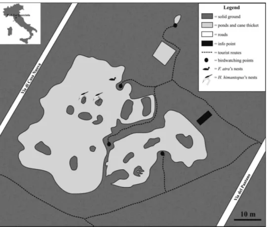 Figure 1. Map of the wetland with islets [Natural Area of Local Interest (ANPIL) “Podere la Querciola”]