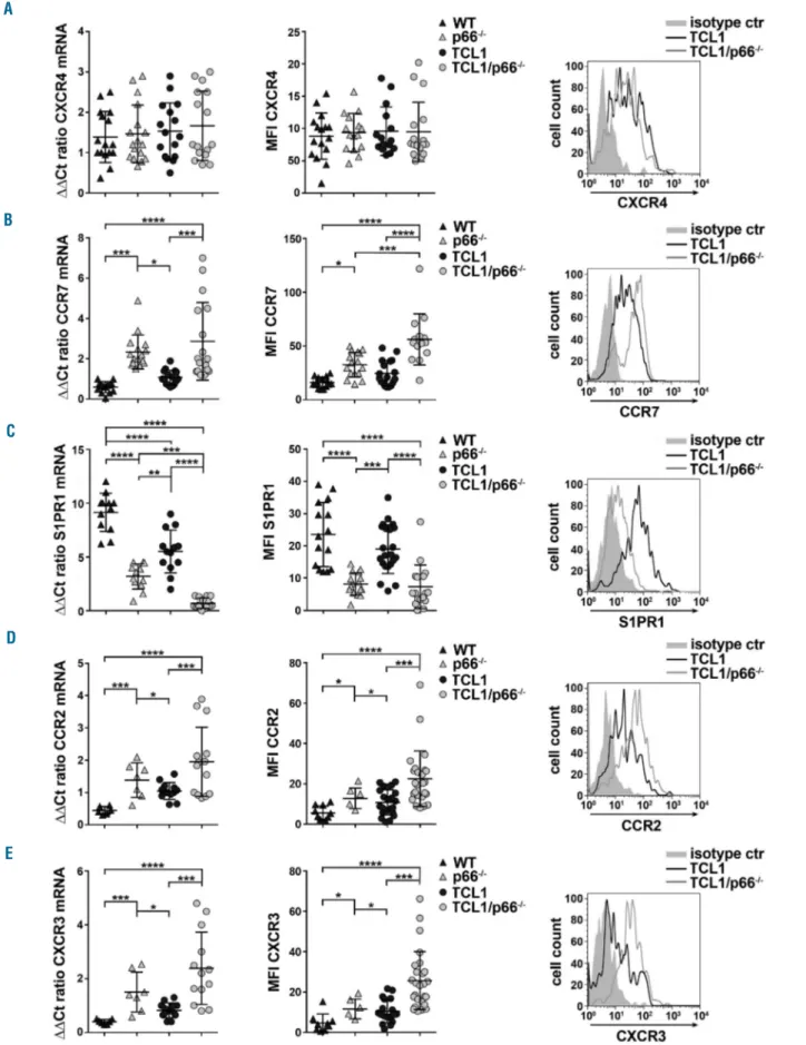 Figure 5. p66Shc deficiency in leukemic cells results in enhanced expression of homing receptors and reduced expression of the egress receptor S1PR1