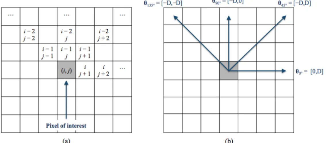 Figure 6. (a) The spatial relationships of pixels; (b) the GLCM directions. D is the offset and represents the distance between each pixels and the pixel of interest.