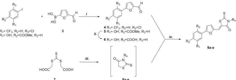 Fig 1. Synthesis of substituted rhodanine derivatives 9 a–e: i. Pd(PPh 3 ) 2 Cl 2 , Na 2 CO 3 , DMF/EtOH, RT, 1h; ii