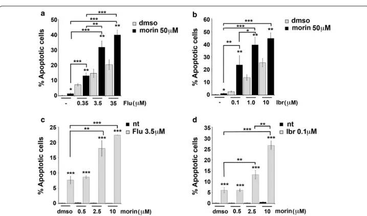 Fig. 3  Morin treatment enhances fludarabine- or ibrutinib-induced apoptosis in Mec-1 cells