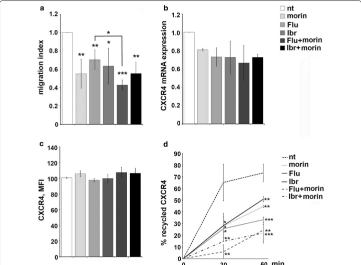 Fig. 5  Morin treatment in combination with conventional drugs inhibit CXCR4-dependent migration and CXCR4 receptor recycling in Mec-1 cells