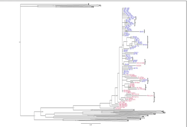 FIGURE 2 | Phylogenetic tree of CRF60_BC PRO-RT sequences detected in and outside of Apulia