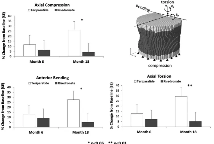 Fig. 6. Treatment associated percent changes from baseline (LS mean þ SE) in vertebral strength of T12 for teriparatide compared to risedronate as modeled by ﬁnite element analysis based on high‐resolution quantitative computed tomography; results for thre