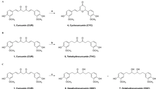 Figure 2. (A) Synthesis of cyclocurcumin, CYC (4); reagents and conditions: a) TFA, MW, 100 °C, 4 min, 10%