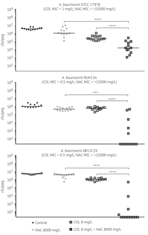 Figure 4. Antibiofilm activity of 8 mg/L colistin (COL) in combination with 8000 mg/L N-acetylcysteine (NAC) against the colistin-susceptible A