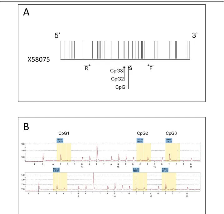 Figure 1 LINE-1 bisulfite pyrosequencing assay. A. The region of the LINE-1 sequence [GenBank:X58075] utilized for the design of the assay is reported