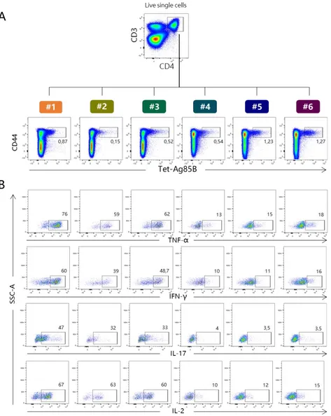 Figure  2.  Flow  cytometric  analysis  of  Tet-Ag85B+  T  cells  producing  cytokines