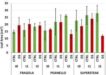 Figure 7. Leaf Area in two local varieties (‘Fragola’ and ‘Pisanello’) and one commercial cultivar  ‘Supersteak’ of tomato (Solanum lycopersicum L.) subjected to drought stress (no water for 16 days)  relative to the controls (regularly well-watered plants