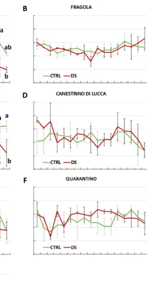 Figure 3. Performance index (PI ABS ) in six local varieties (A–F) and one commercial cultivar ‘Supersteak’ (G) of tomato (Solanum lycopersicum L.) subjected to drought stress (no water for 16 days) relative to the controls (regularly well-watered plants)